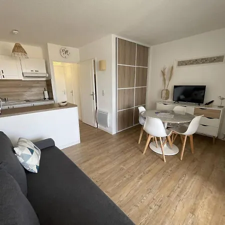 Moderne, Parking, Proche Et Port - Fr-1-723-95 * Agde
